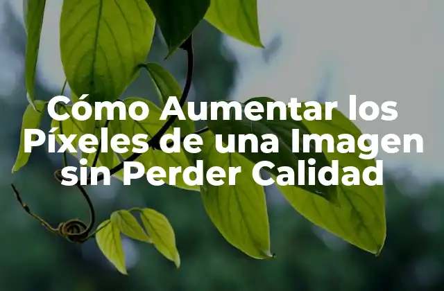 ¿Qué son los Píxeles y por qué son Importantes?