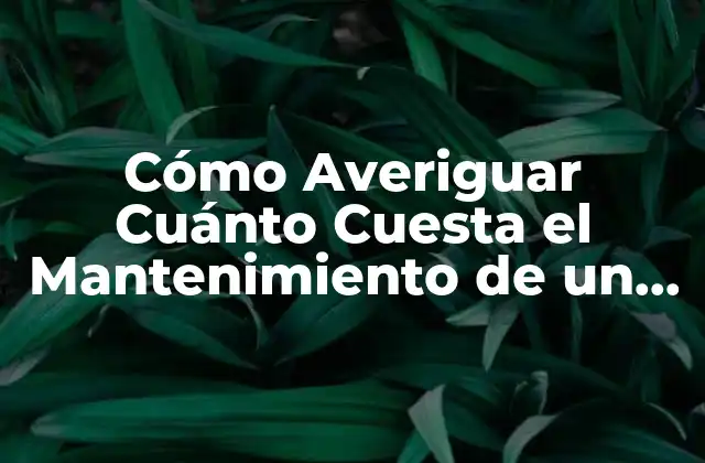 Cómo Averiguar Cuánto Cuesta el Mantenimiento de un Coche