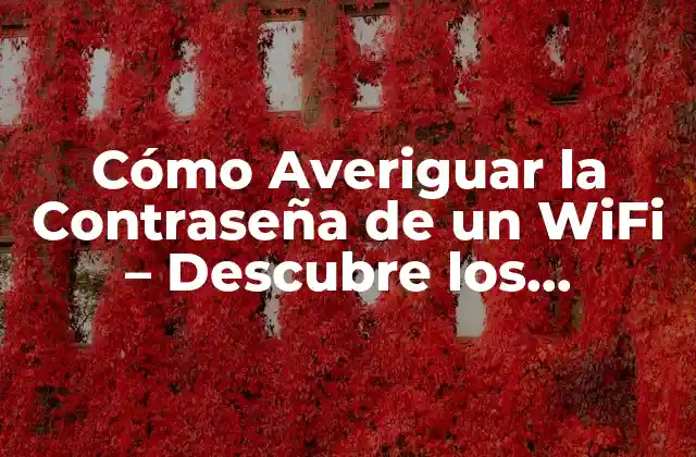 Cómo Averiguar la Contraseña de un Wifi – Descubre los Métodos Más Fáciles