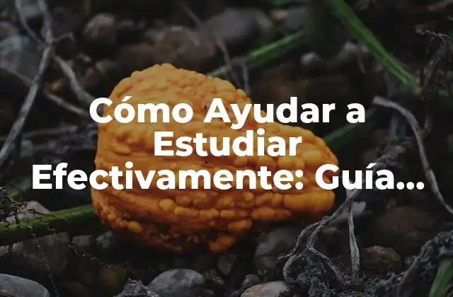 Cómo Ayudar a Estudiar Efectivamente: Guía Completa
