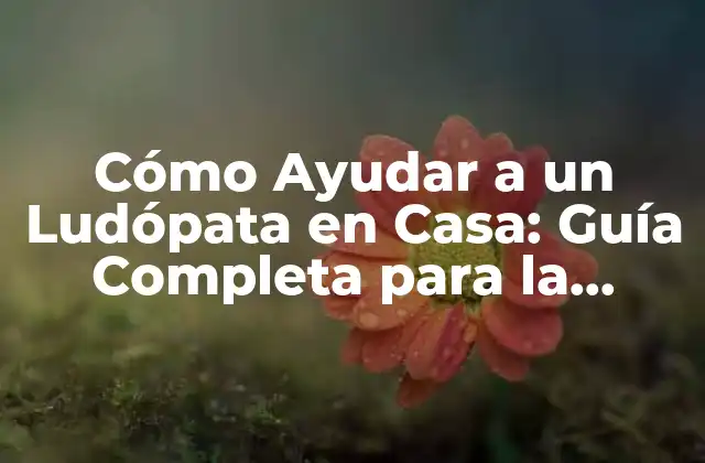 Cómo Ayudar a un Ludópata en Casa: Guía Completa para la Recuperación