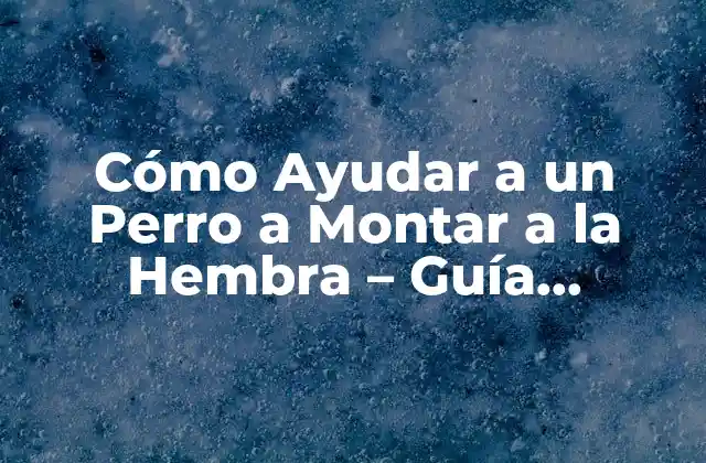 Cómo Ayudar a un Perro a Montar a la Hembra – Guía Completa