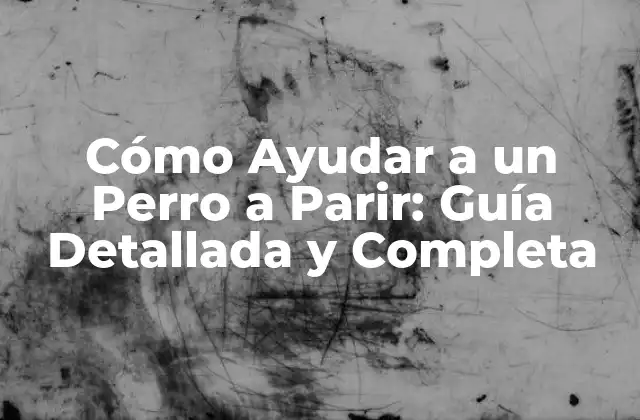 Cómo Ayudar a un Perro a Parir: Guía Detallada y Completa