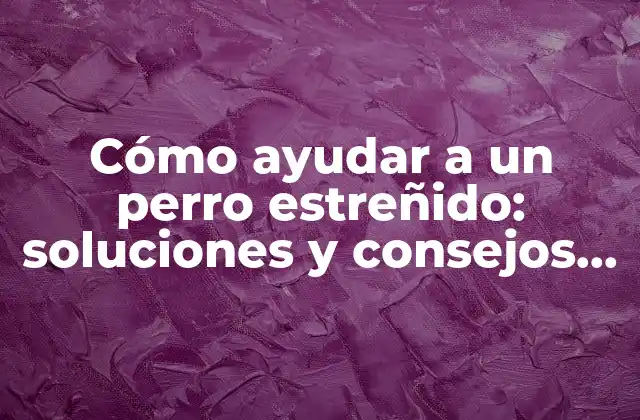 Cómo Ayudar a un Perro Estreñido: Soluciones y Consejos Prácticos