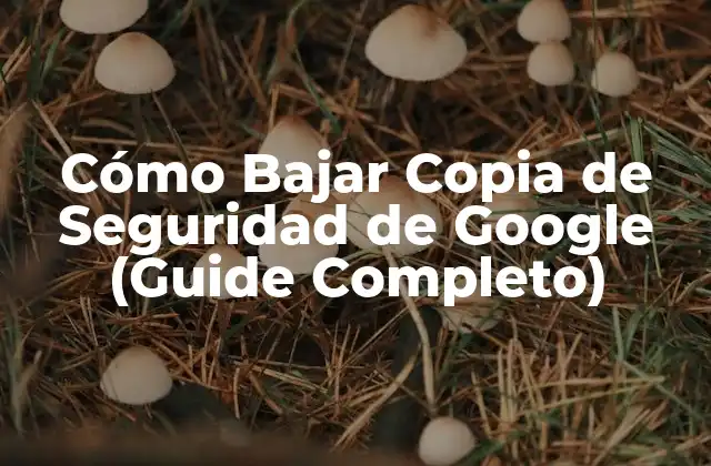 Cómo Bajar Copia de Seguridad de Google (guide Completo)