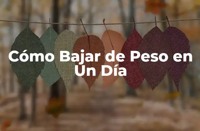 Cómo Bajar de Peso en un Día 2 Cómo Bajar de Peso en Un Día: Entendiendo el Concepto