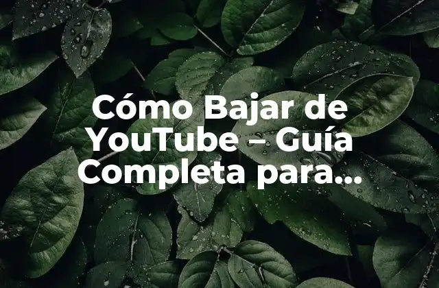 Cómo Bajar de Youtube – Guía Completa para Descargar y Convertir Vídeos