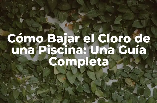 Cómo Bajar el Cloro de una Piscina: una Guía Completa