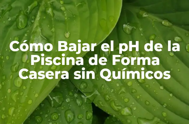 ¿Por qué es Importante Mantener un pH Equilibrado en la Piscina?