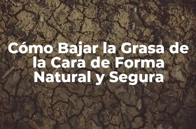 Cómo Bajar la Grasa de la Cara de Forma Natural y Segura