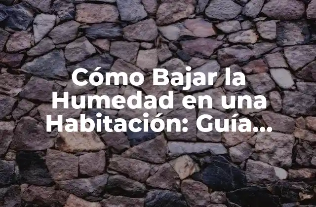 Cómo Bajar la Humedad en una Habitación: Guía Completa