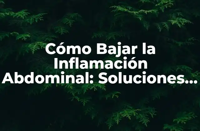 Cómo Bajar la Inflamación Abdominal: Soluciones Naturales y Efectivas