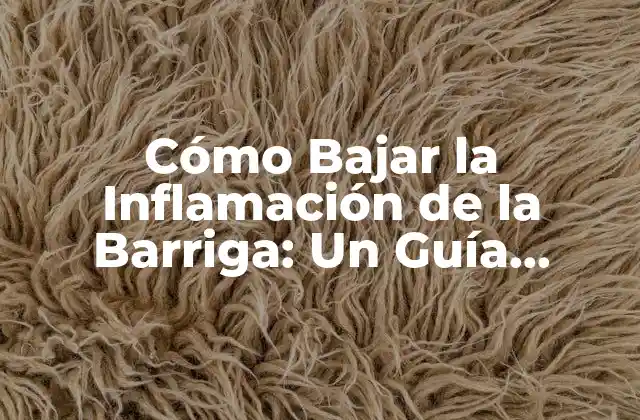 Cómo Bajar la Inflamación de la Barriga: un Guía Completa