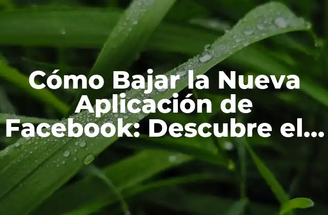 Cómo Bajar la Nueva Aplicación de Facebook: Descubre el Futuro de las Redes Sociales