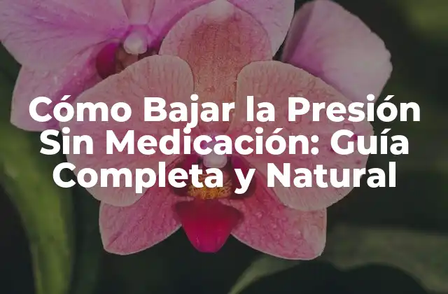 Cómo Bajar la Presión sin Medicación: Guía Completa y Natural