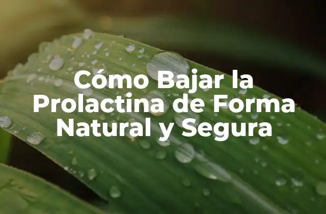 Cómo Bajar la Prolactina de Forma Natural y Segura