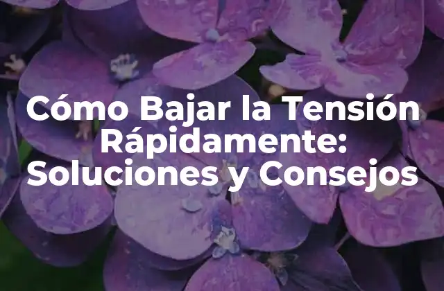 Cómo Bajar la Tensión Rápidamente: Soluciones y Consejos