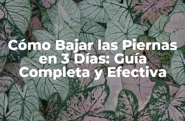 Cómo Bajar las Piernas en 3 Días: Guía Completa y Efectiva