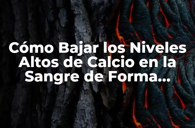 Cómo Bajar los Niveles Altos de Calcio en la Sangre de Forma Segura y Efectiva