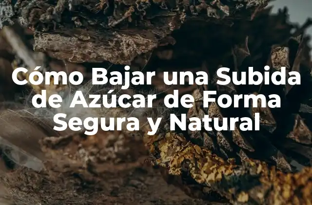 Cómo Bajar una Subida de Azúcar de Forma Segura y Natural 2 ¿Por qué es Importante Controlar los Niveles de Azúcar en la Sangre?