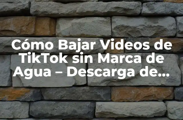 Cómo Bajar Videos de Tiktok sin Marca de Agua – Descarga de Videos Tiktok sin Logotipo