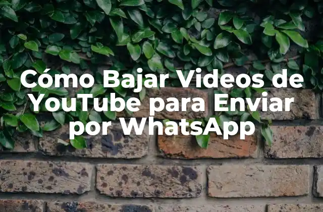 Cómo Bajar Videos de Youtube para Enviar por Whatsapp