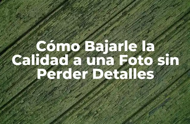 Cómo Bajarle la Calidad a una Foto sin Perder Detalles
