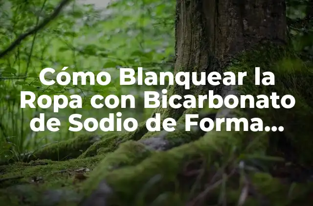 Cómo Blanquear la Ropa con Bicarbonato de Sodio de Forma Natural y Efectiva