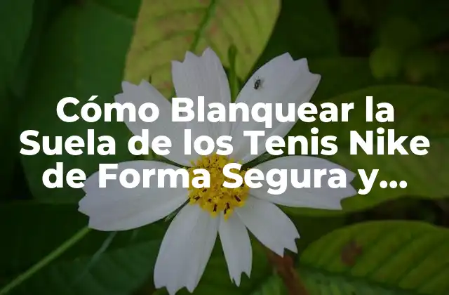 Cómo Blanquear la Suela de los Tenis Nike de Forma Segura y Eficiente