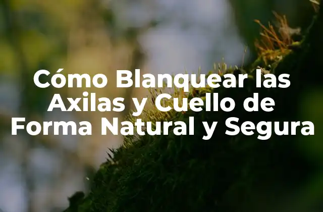 Cómo Blanquear las Axilas y Cuello de Forma Natural y Segura