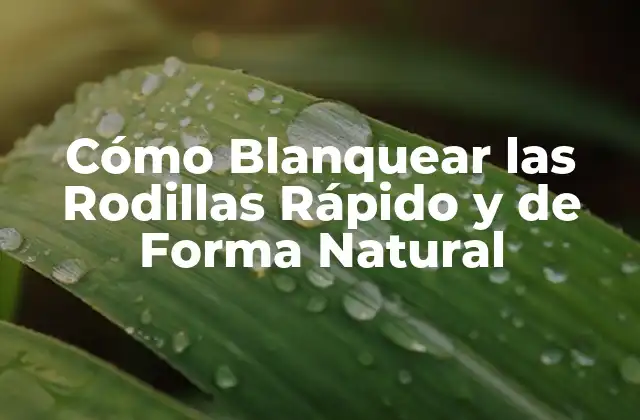 Cómo Blanquear las Rodillas Rápido y de Forma Natural