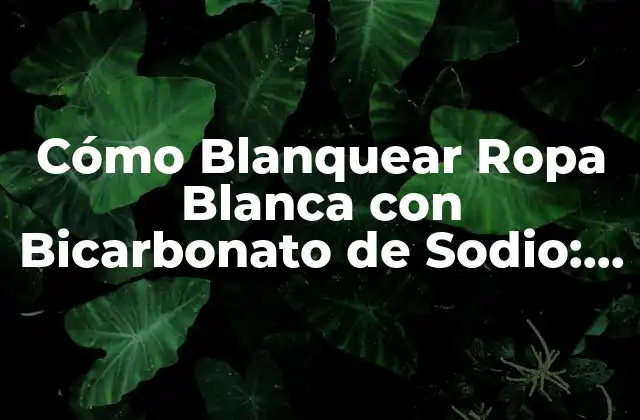 ¿Por qué el Bicarbonato de Sodio es una Opción Natural para Blanquear Ropa Blanca?