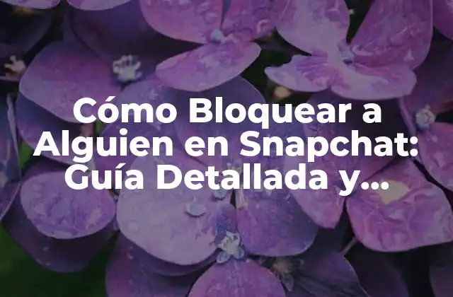 Cómo Bloquear a Alguien en Snapchat: Guía Detallada y Actualizada