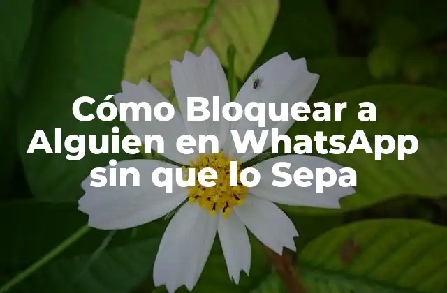 Cómo Bloquear a Alguien en Whatsapp sin que Lo Sepa