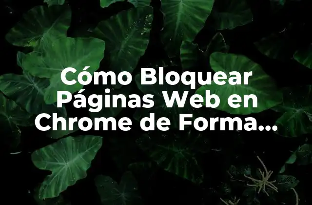 Cómo Bloquear Páginas Web en Chrome de Forma Segura y Efectiva