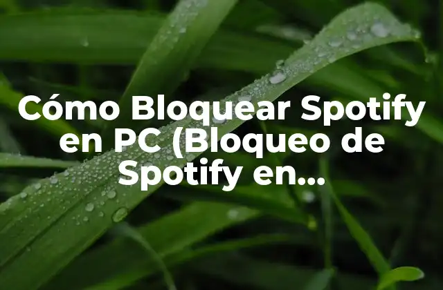 Cómo Bloquear Spotify en Pc (bloqueo de Spotify en Computadora)