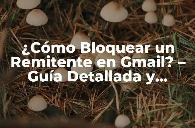 ¿cómo Bloquear un Remitente en Gmail? – Guía Detallada y Actualizada