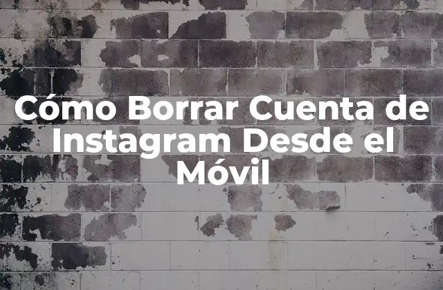 Razones para Borrar tu Cuenta de Instagram