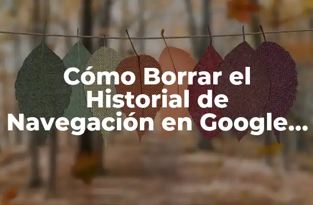 Cómo Borrar el Historial de Navegación en Google – Guía Completa