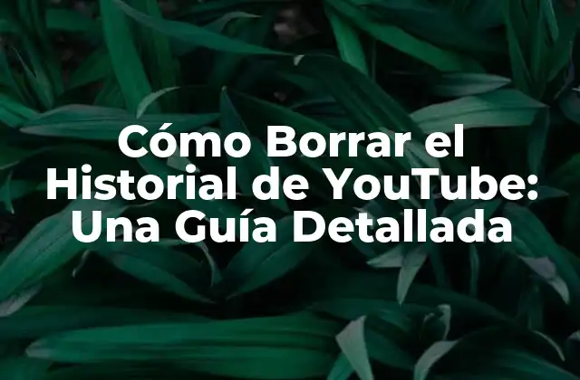 Cómo Borrar el Historial de Youtube: una Guía Detallada 2 ¿Por qué es importante borrar el historial de YouTube?