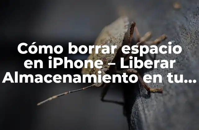 Cómo Borrar Espacio en Iphone – Liberar Almacenamiento en Tu Dispositivo