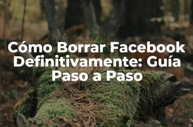 Cómo Borrar Facebook Definitivamente: Guía Paso a Paso
