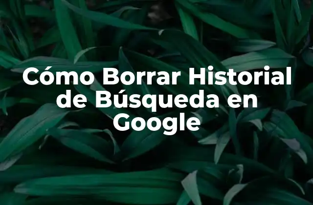 Cómo Borrar Historial de Búsqueda en Google