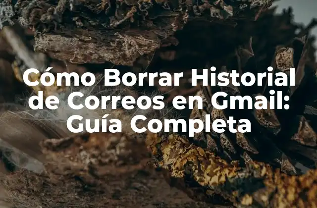 Cómo Borrar Historial de Correos en Gmail: Guía Completa 2 ¿Por qué es importante borrar el historial de correos en Gmail?