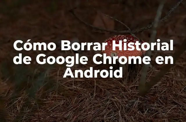 Cómo Borrar Historial de Google Chrome en Android 2 ¿Por qué es importante borrar el historial de Google Chrome en Android?