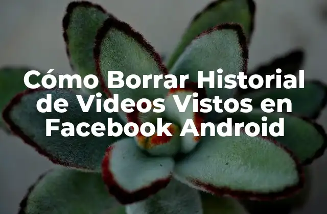 Cómo Borrar Historial de Videos Vistos en Facebook Android