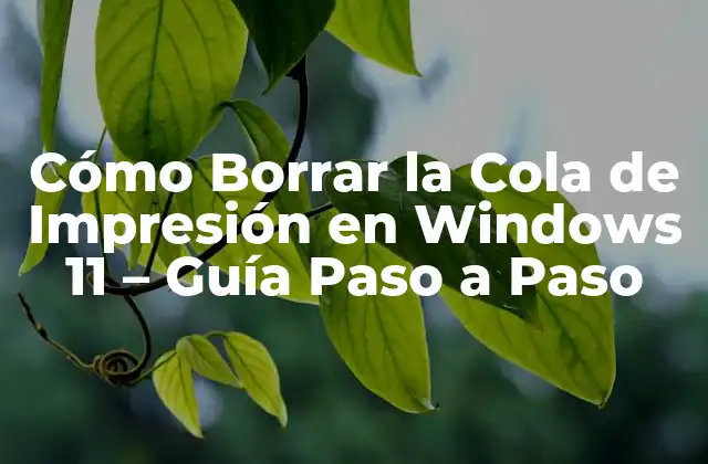 Cómo Borrar la Cola de Impresión en Windows 11 – Guía Paso a Paso