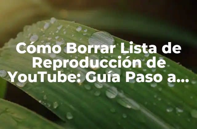 Cómo Borrar Lista de Reproducción de Youtube: Guía Paso a Paso