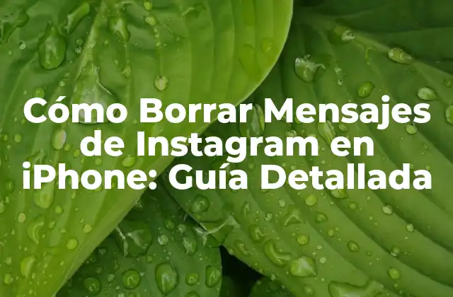 Cómo Borrar Mensajes de Instagram en Iphone: Guía Detallada