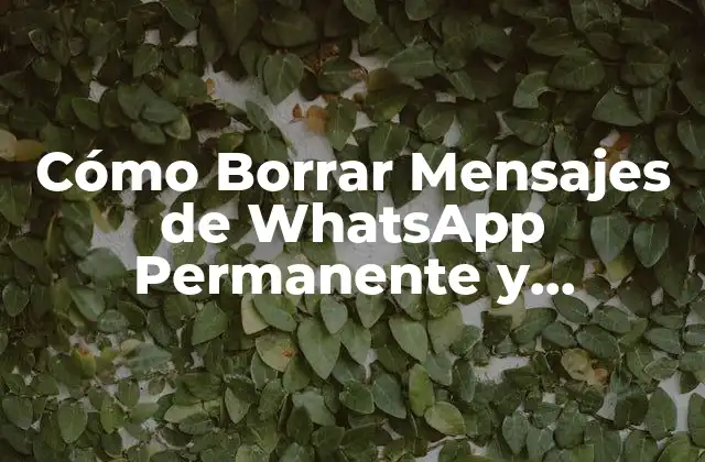 Cómo Borrar Mensajes de Whatsapp Permanente y Seguramente